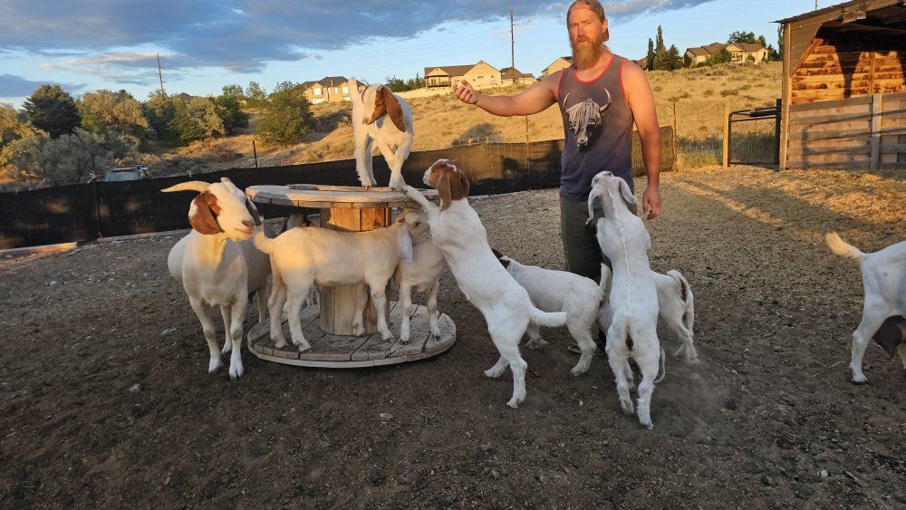 Main image 25