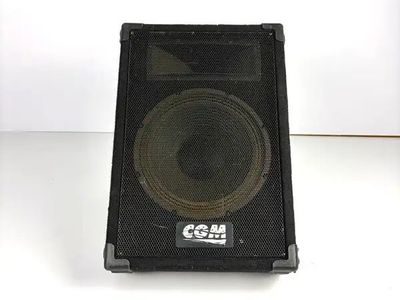 Speakers! CGM ARM-112H-1 PA Speakers