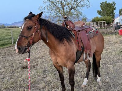 Project mare