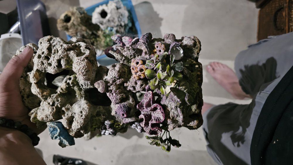 Main image 39