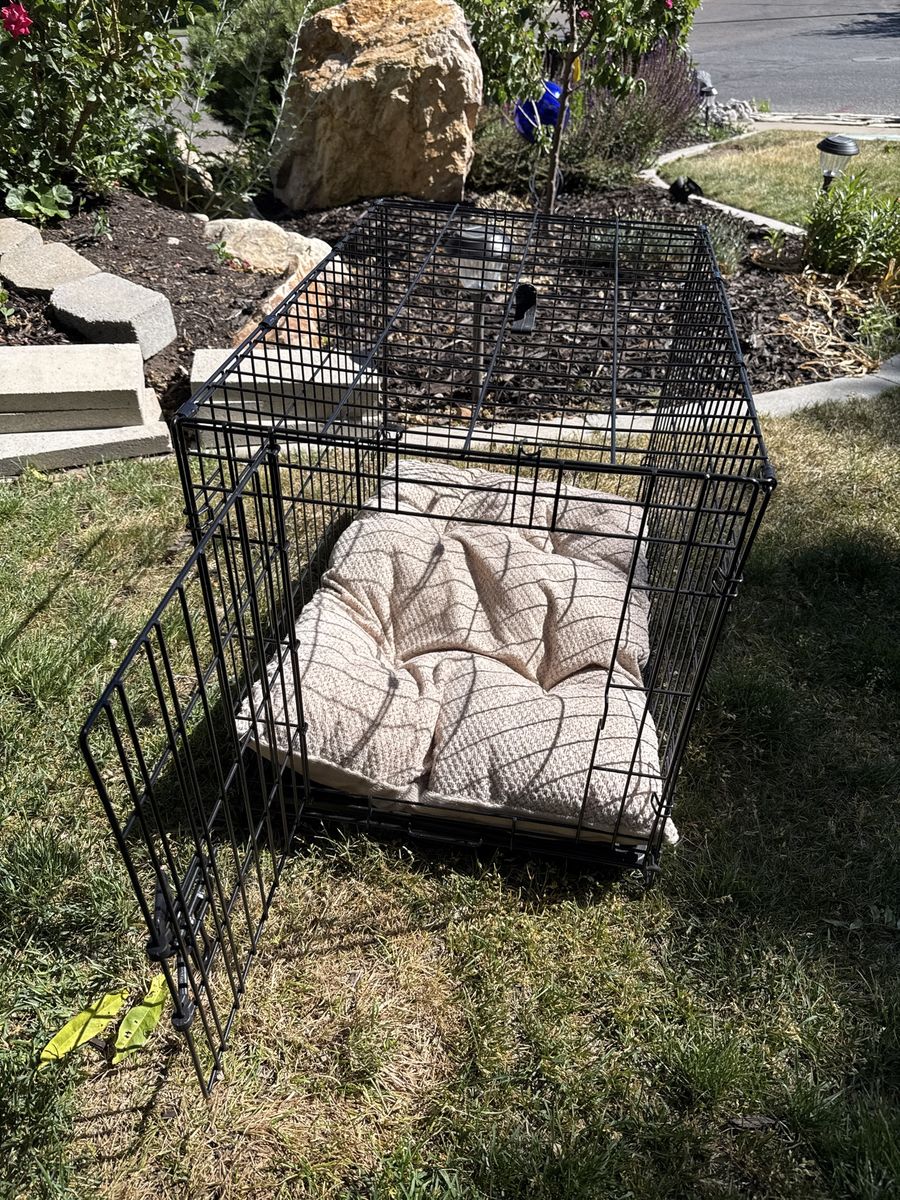 Dog Crate