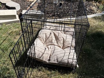 Dog Crate