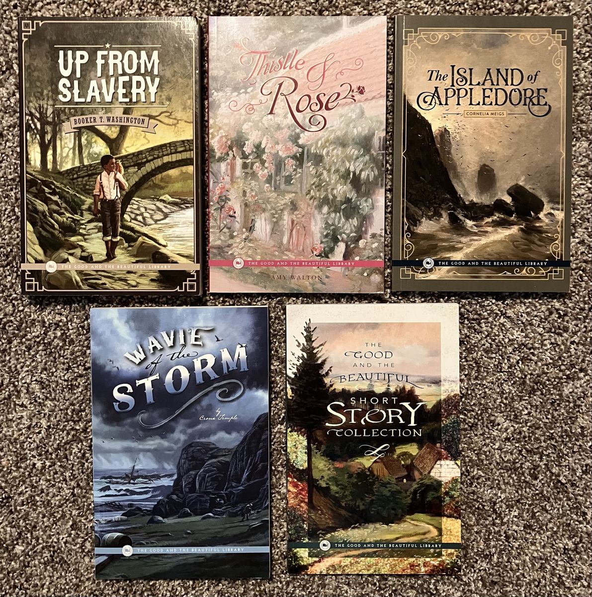 Lot of 5 The Good and the Beautiful Library Books Level 10