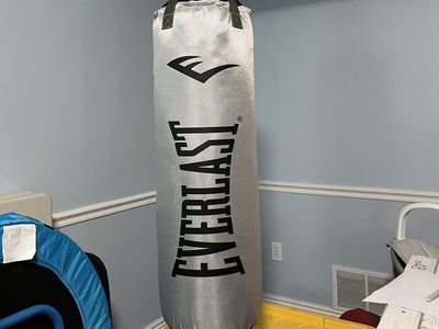 Everlast 70 lb Platinum Heavy Bag Kit + Ceiling Swivel Mount $55 OBO