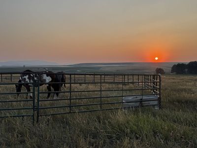 Horse Training And Flipping Business - Capital Needed