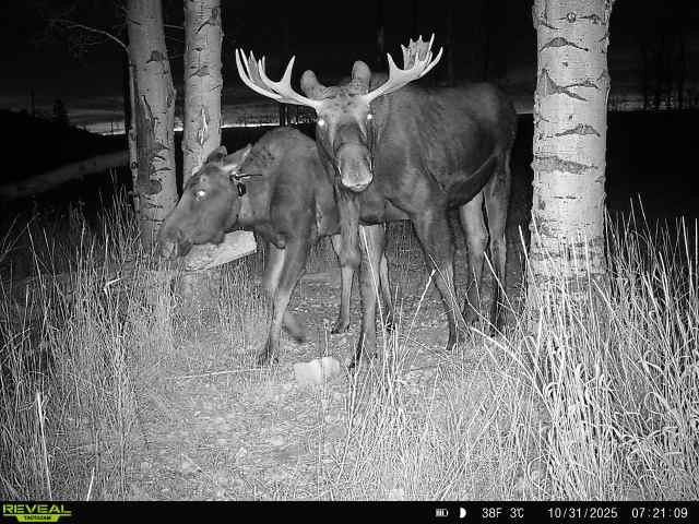 Main image 29