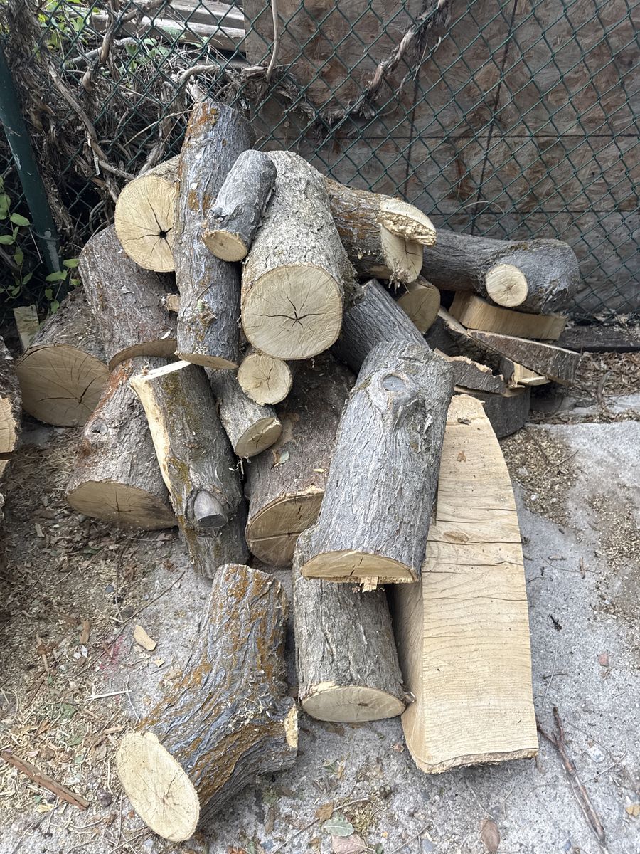 Fire wood