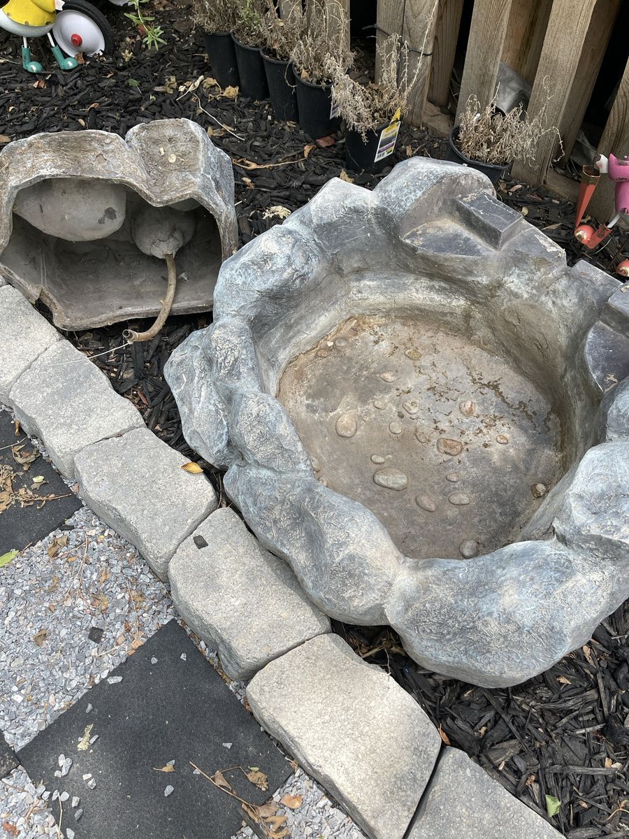Main image 2