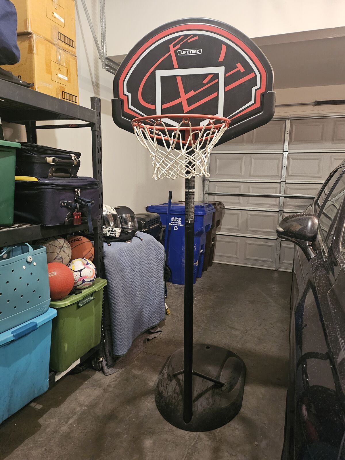 Lifetime Adjustable Youth Portable Basketball Hoop