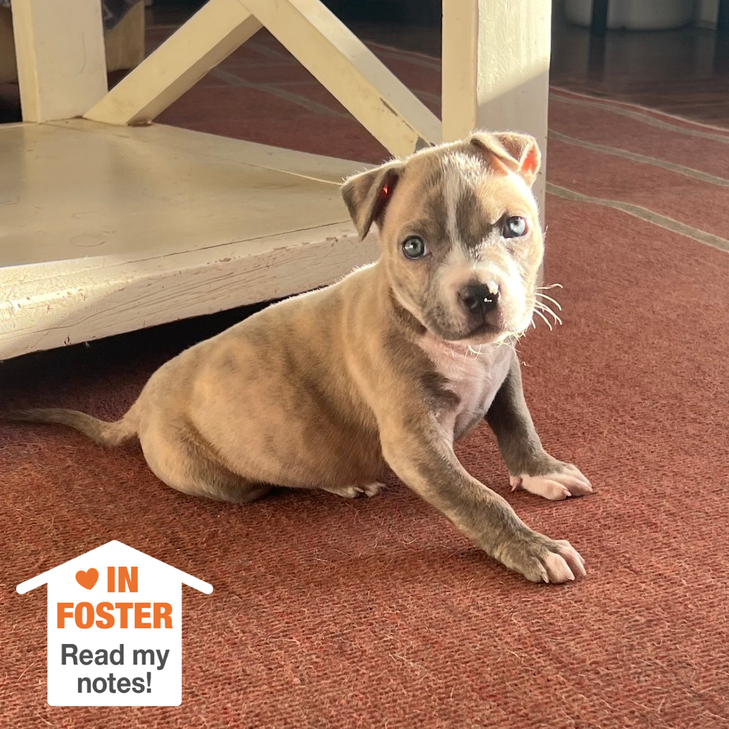 Hello my name is Oner