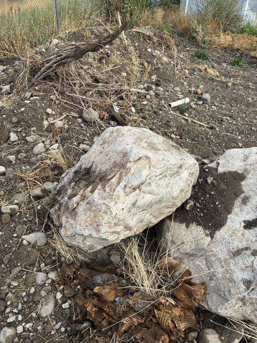 Main image 5