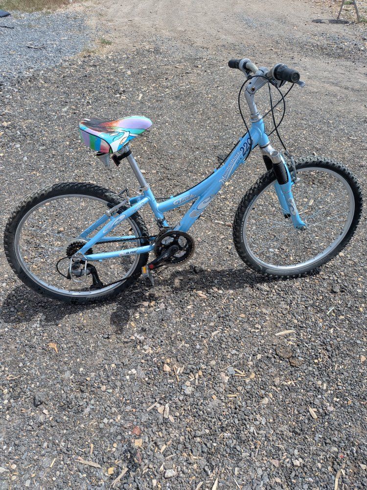 Trek 220 Mountain Track Girls 24 inch Mountain Bike 21 Speed
