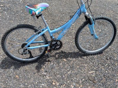 Trek 220 Mountain Track Girls 24 inch Mountain Bike 21 Speed