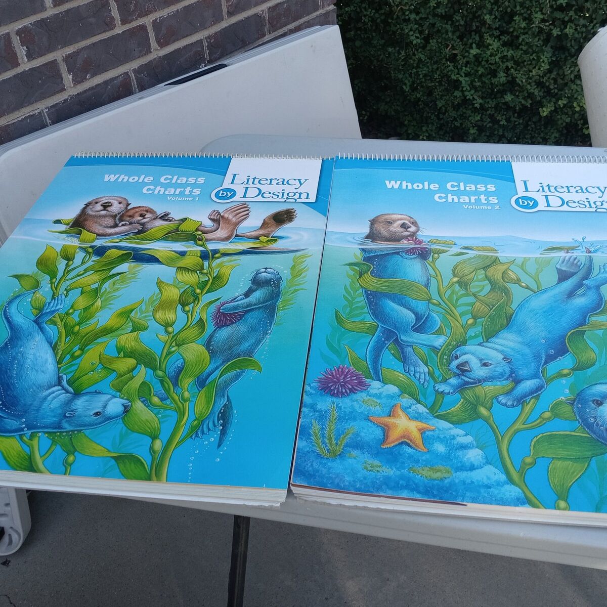 2 Large Bound Literacy Poster Books Grade 1