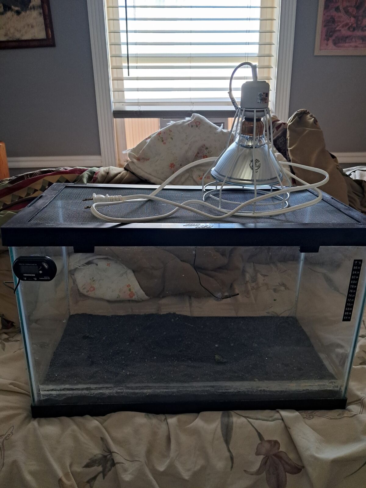 10 gallon.\nTank , good for reptiles , lizards , turtles or snakes