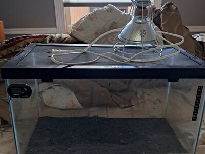 10 gallon.\nTank , good for reptiles , lizards , turtles or snakes