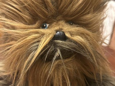 Star Wars Chewbacca