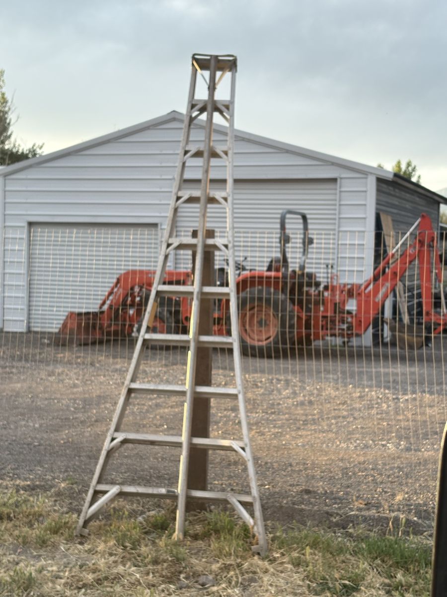 Orchard ladder