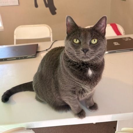 Hello my name is Ladybird