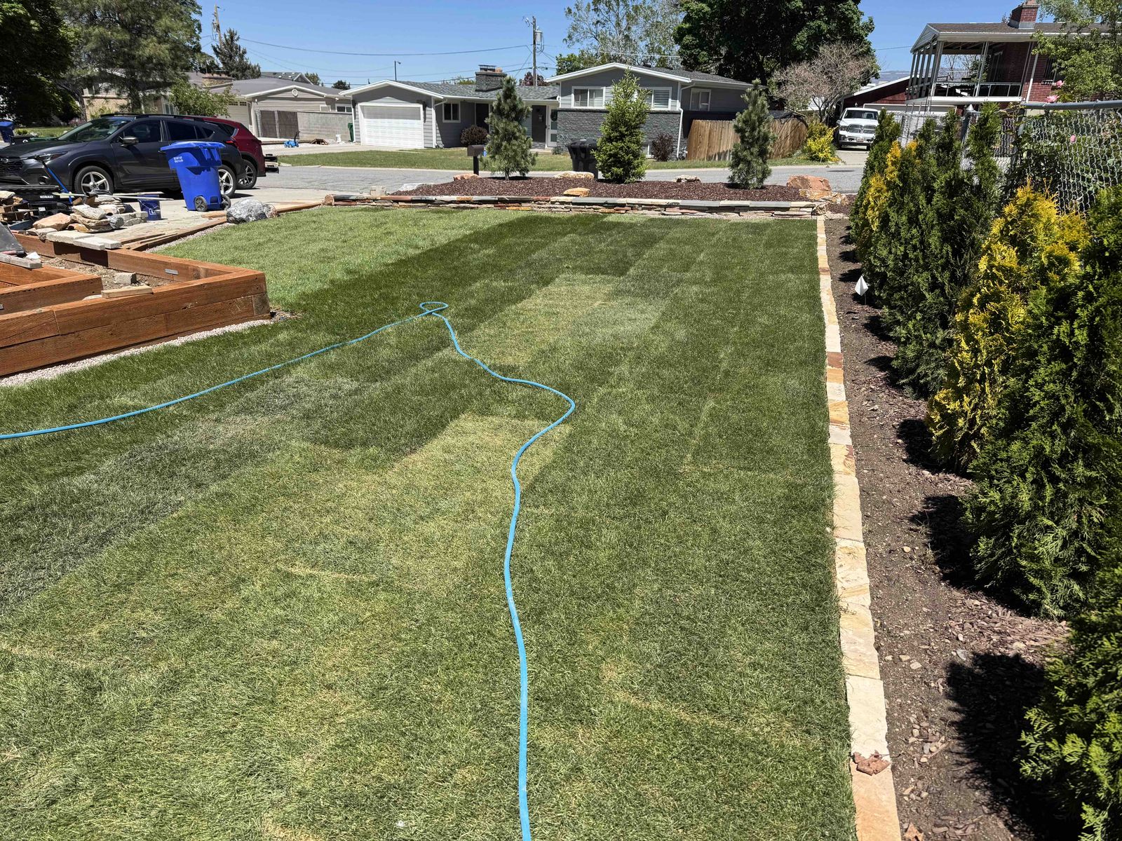 Free Kentucky Blue Grass Sod