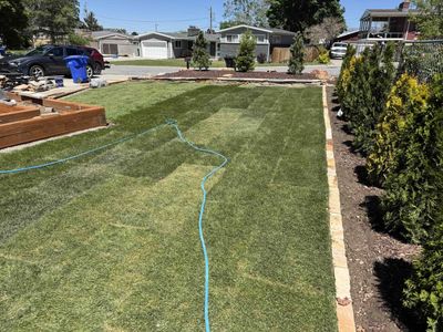 Free Kentucky Blue Grass Sod