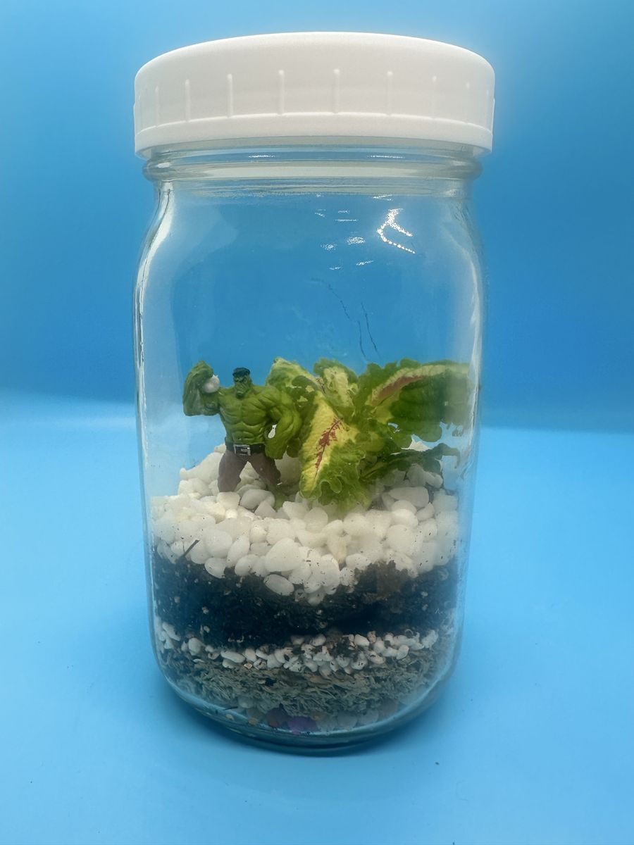Canning jar terrarium with figure and live plants.