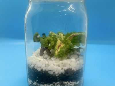 Canning jar terrarium with figure and live plants.