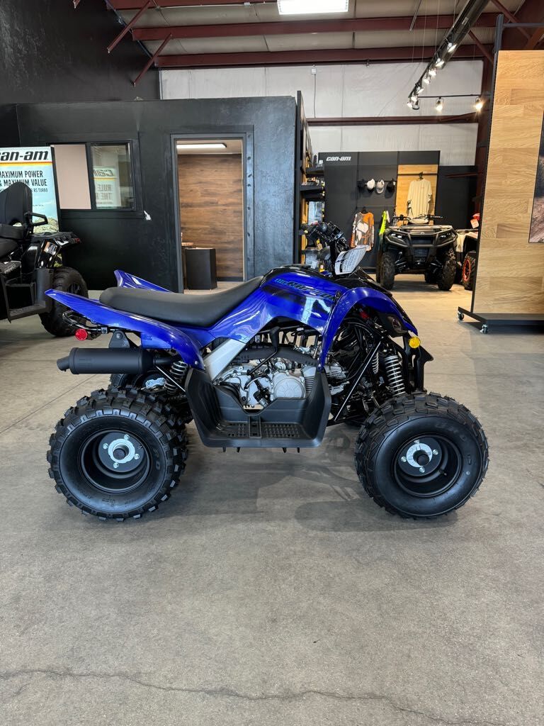 2025 Yamaha Raptor 110
