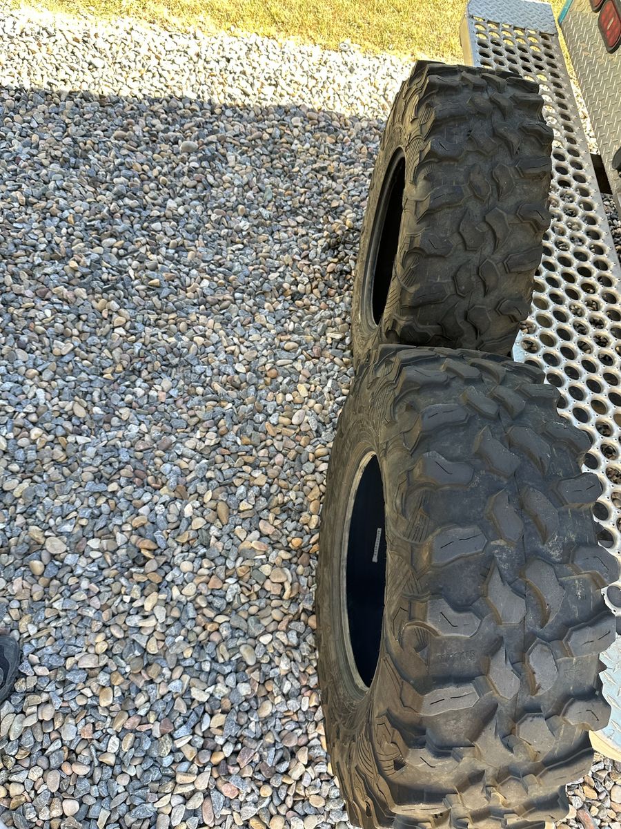 Maxxis carnivore tires