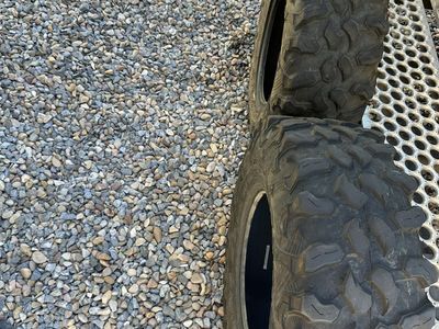 Maxxis carnivore tires