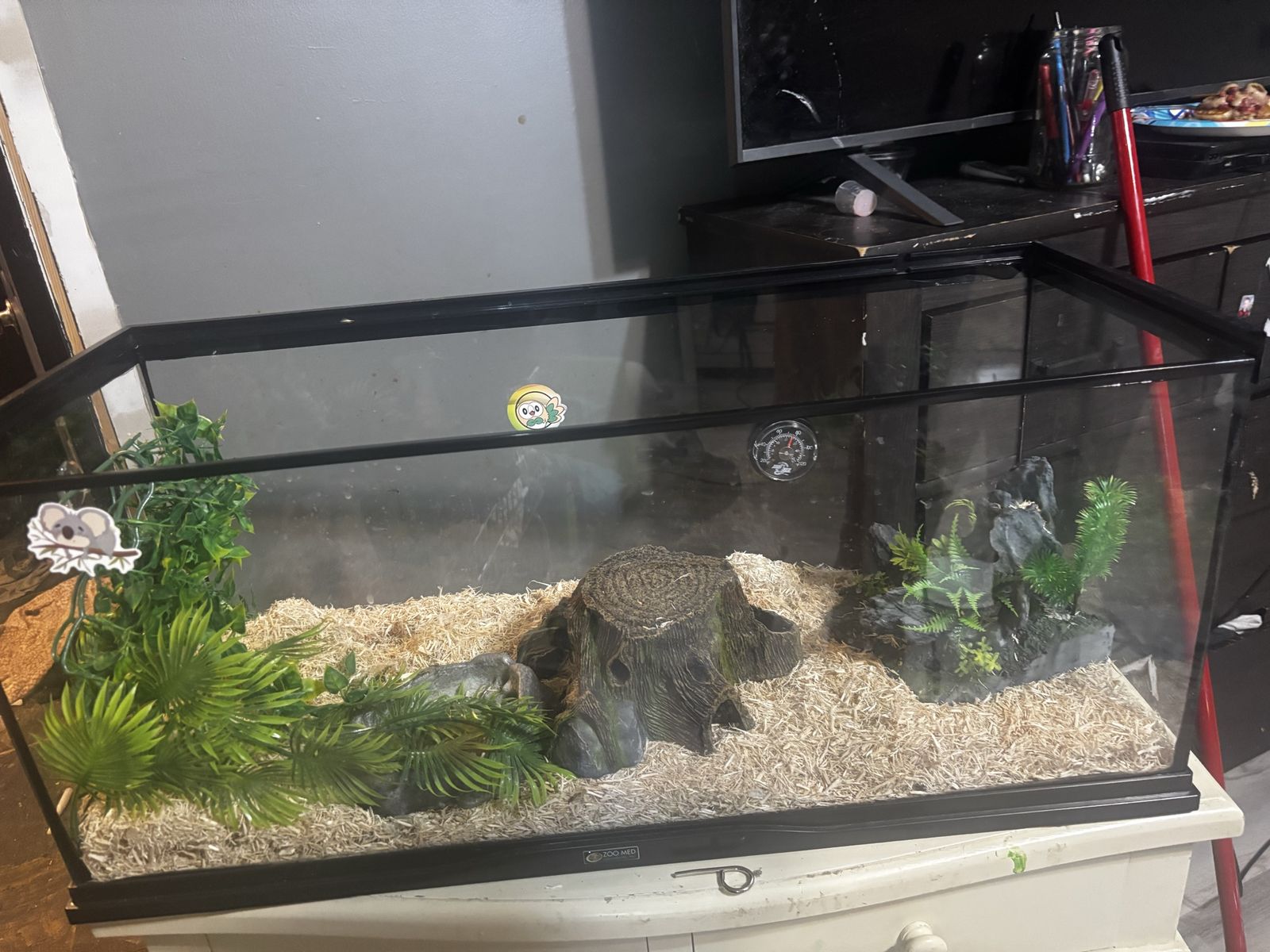 Snake cage and accessories