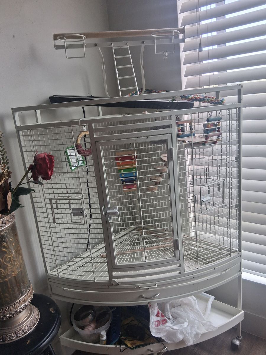Large White Corner Bird Cage for Parrots - Good Condition, with Play Top