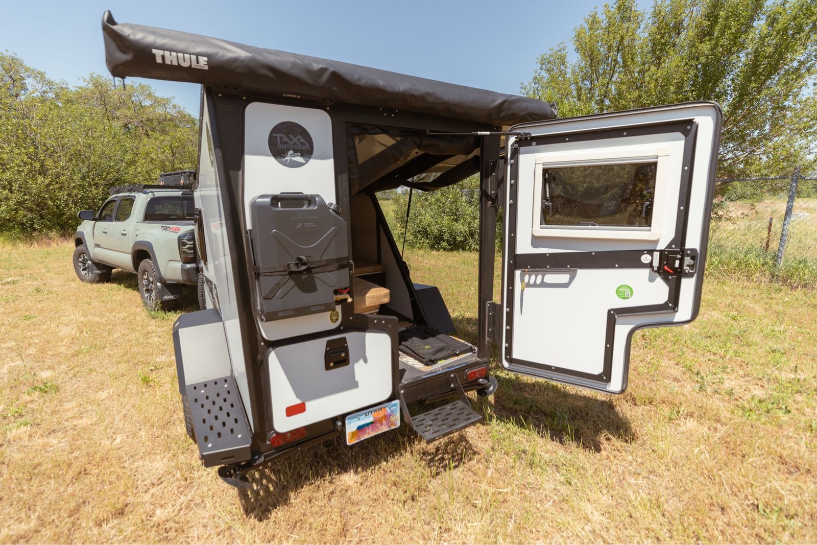 2023 Taxa Tigermoth