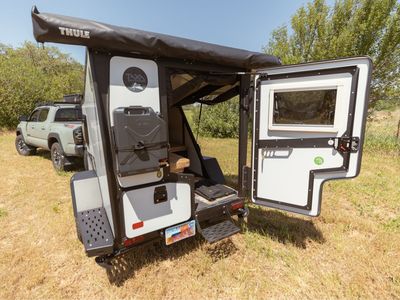 2023 Taxa Tigermoth