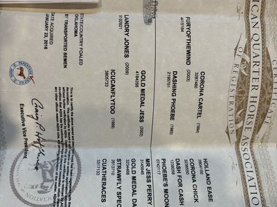 American Quarter Horse Association Registration Certificate - Jess Furious