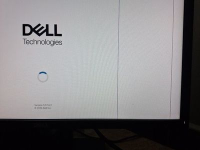 Dell Computer Monitor 20"