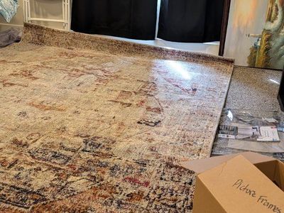 Large Area Rug - Neutral Tones with Abstract Pattern, Excellent Condition