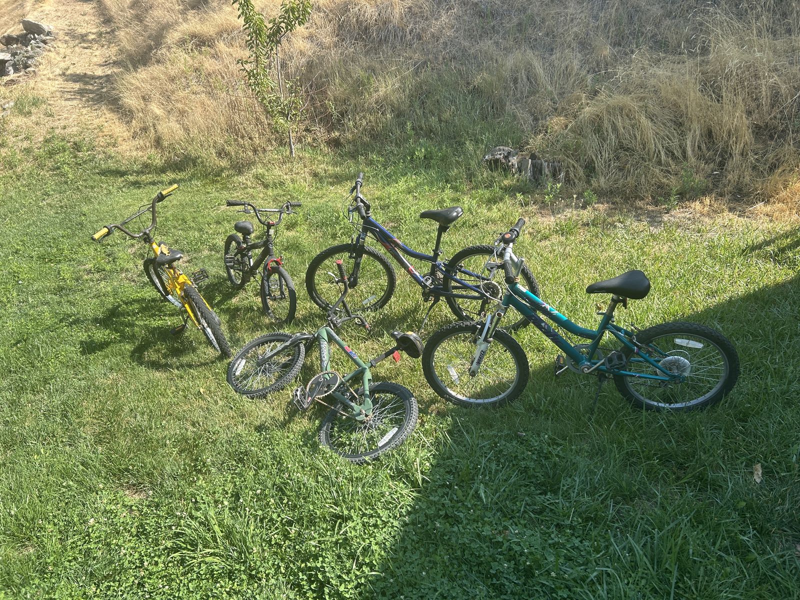 Various kid's bikes