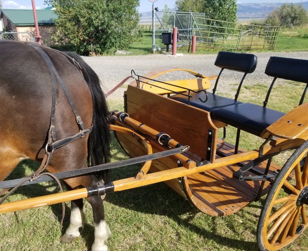 Amish Easy Entry Pony Cart with Black Leather Harness