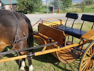 Amish Easy Entry Pony Cart with Black Leather Harness