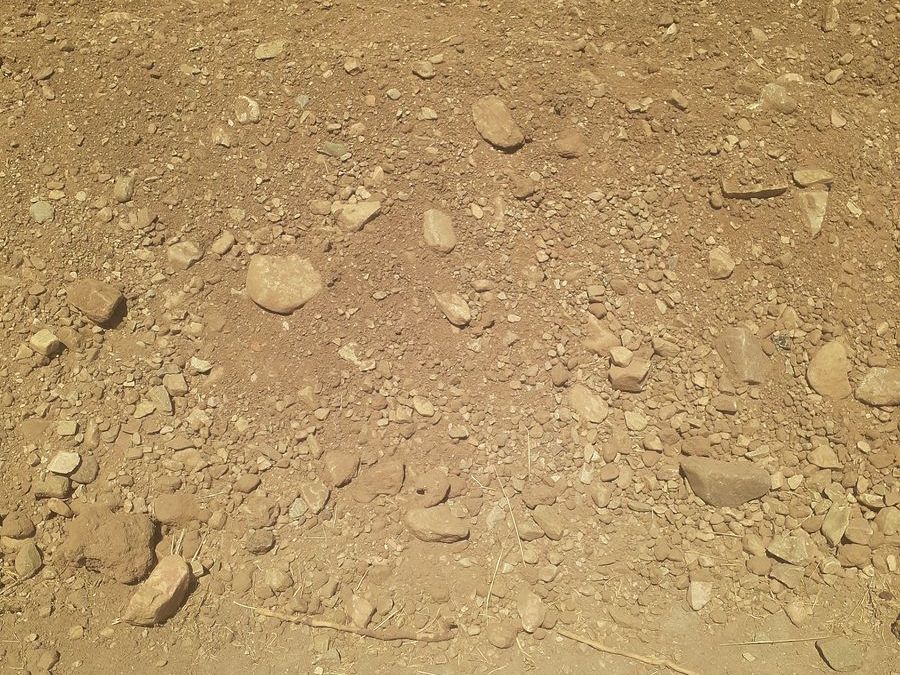 Main image 1