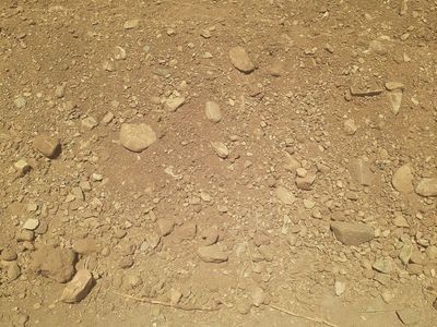 Fill dirt wanted in corinne