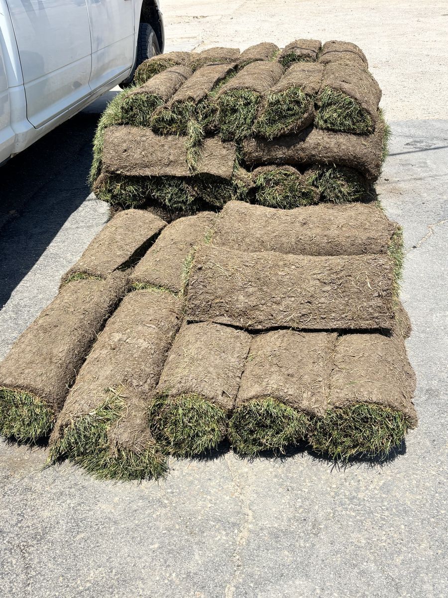 FRESH KENTUCKY BLUEGRASS SOD FOR SALE!