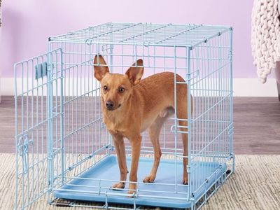 Collapsible Pet Crate for Small Breeds - Blue, 24x18x19 inches, up to 25lbs, with removable pan