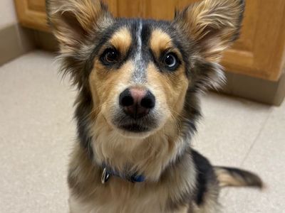 Hello my name is Salinger