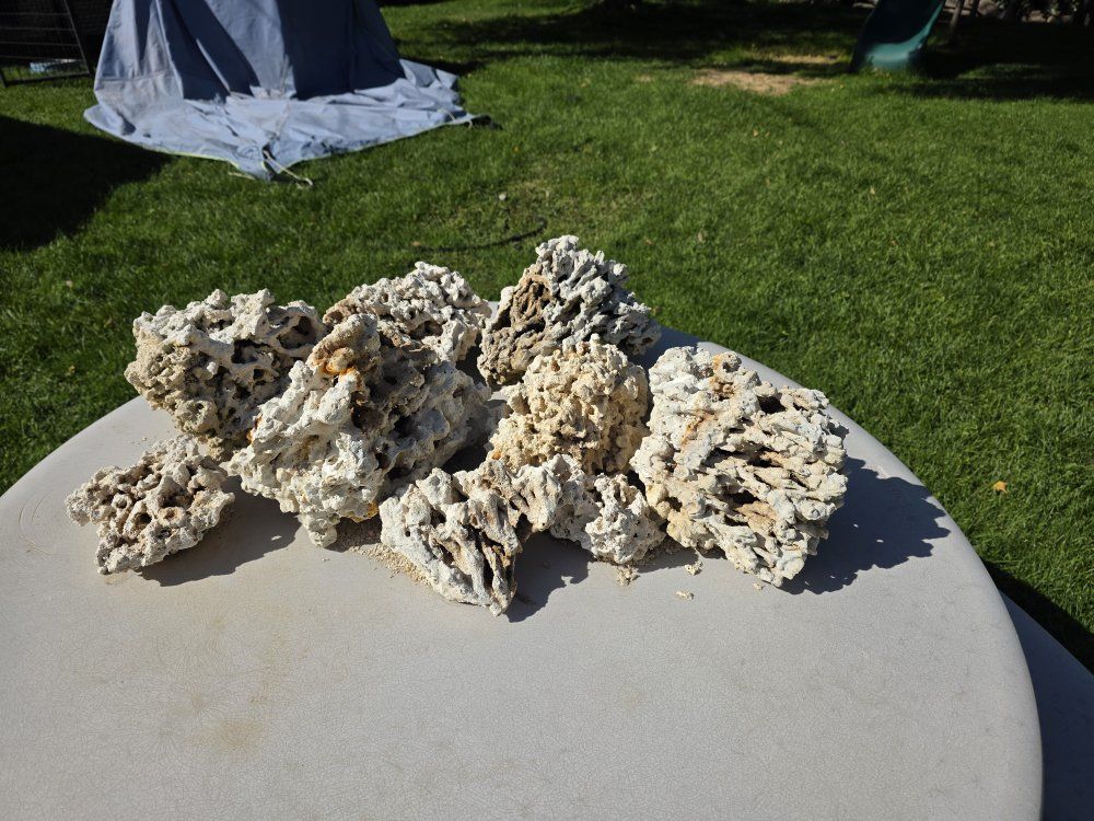 Oolitic Live Rock: Aquarium & Reef Tank Decor, Various Sizes, Natural & Porous Structure