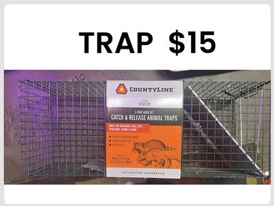 catch and release trap large $15