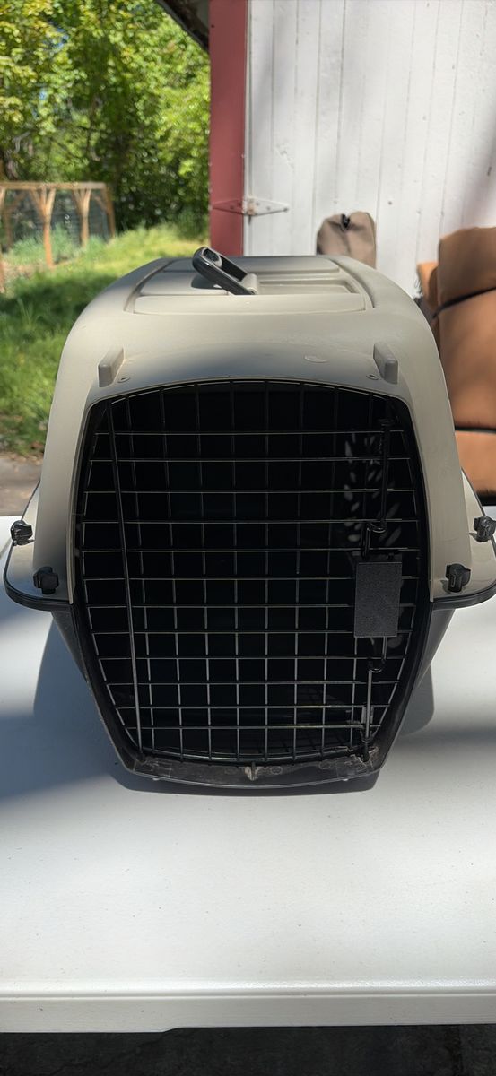 Small travel pet carrier