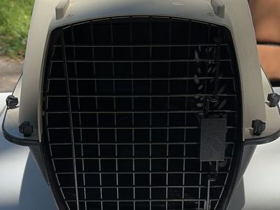 Small travel pet carrier