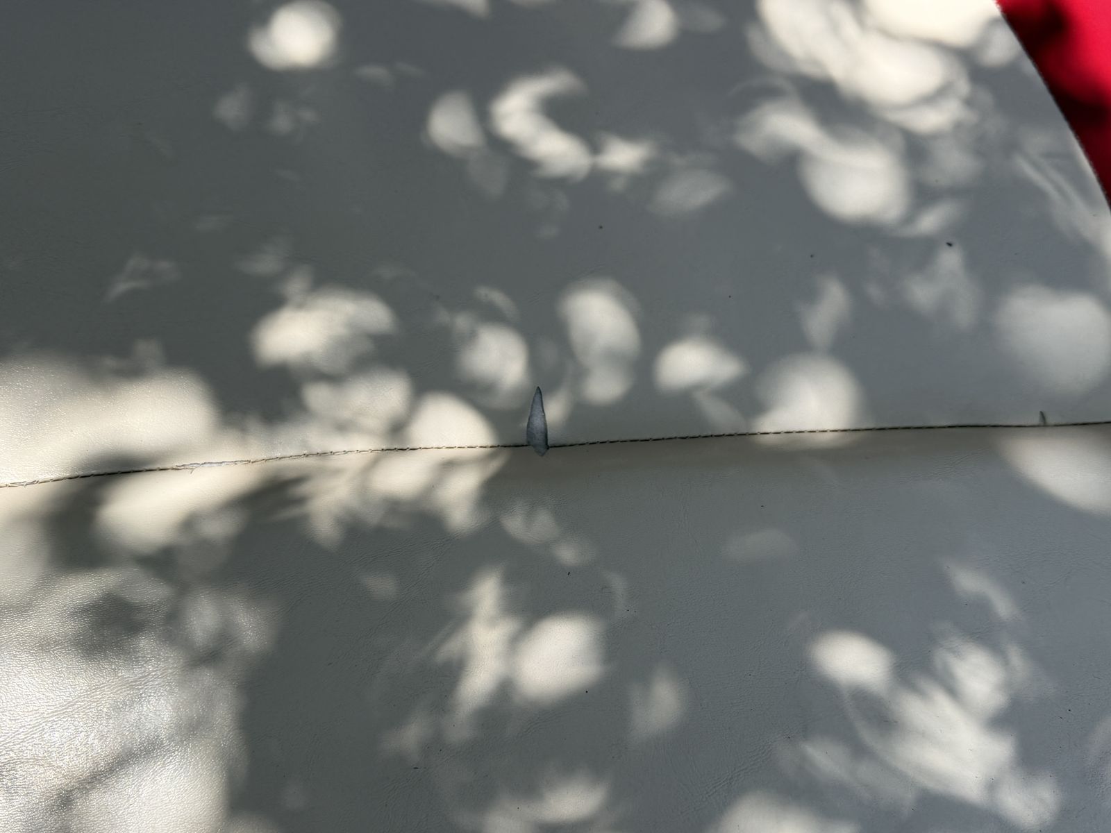 Main image 17